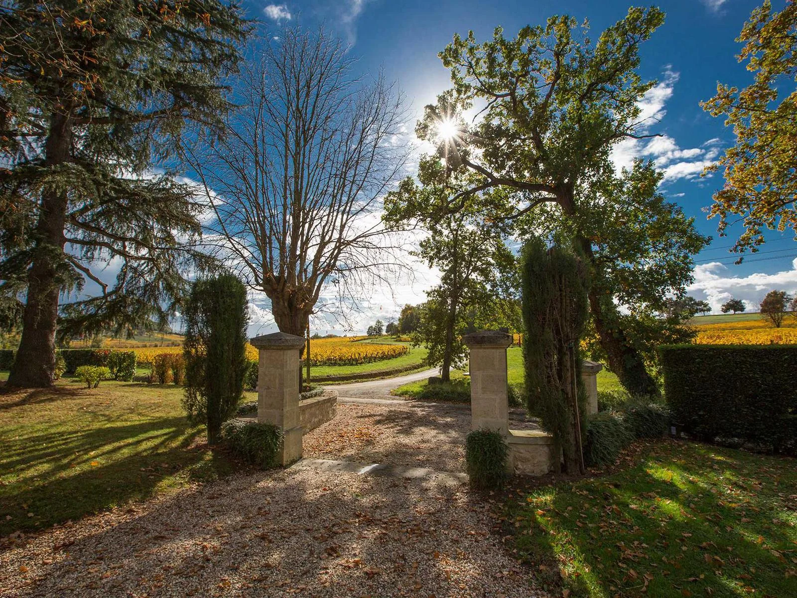 L’allée du jardin